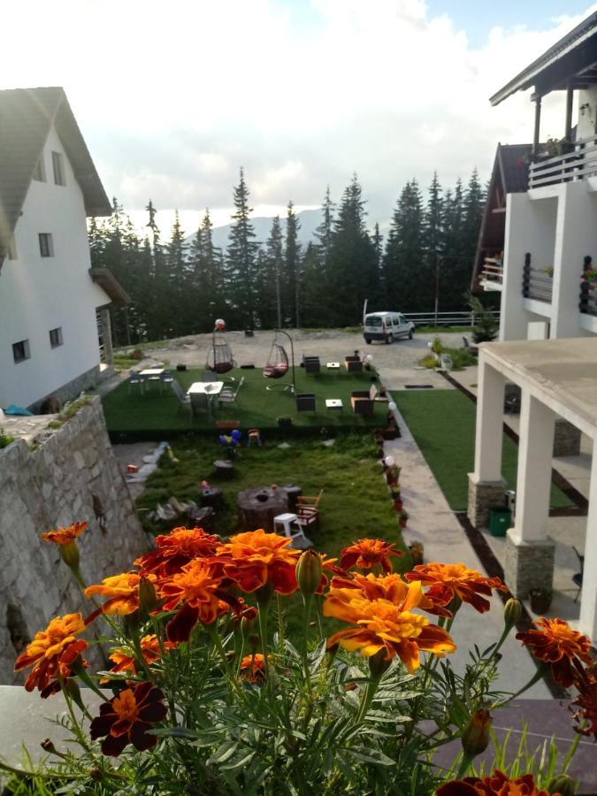 Cetina Ranca Exterior foto